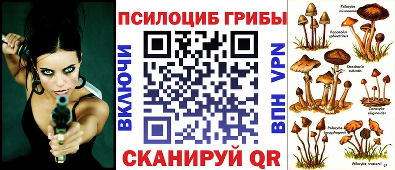 наркотики  Терек  Псилоцибиновые грибы MAGIC MUSHROOMS 